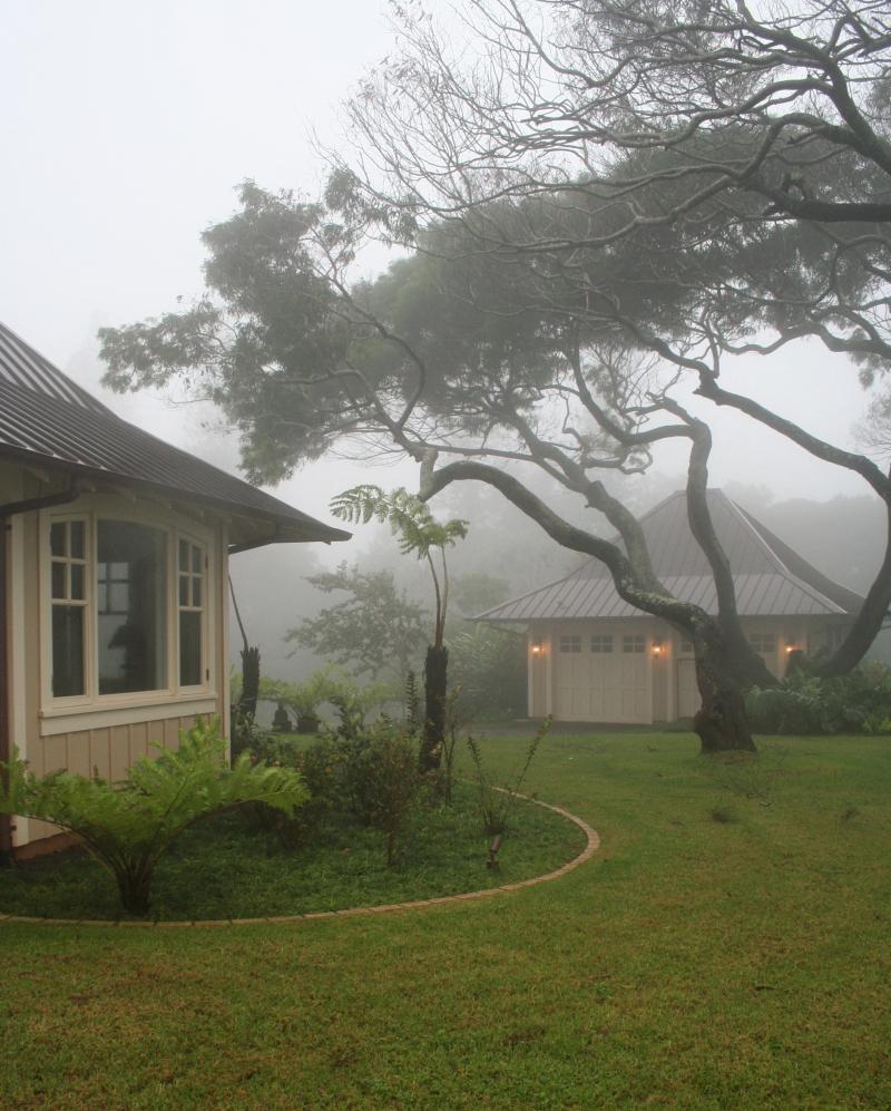 foggy day on Lanai